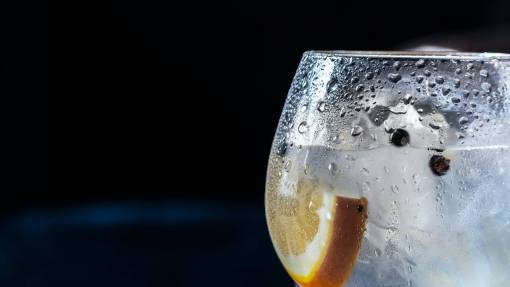alcohol-drink Gin tonic Cocktail