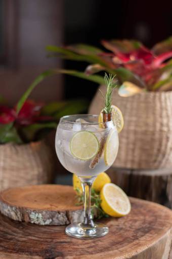 alcohol-drink Gin tonic Cocktail