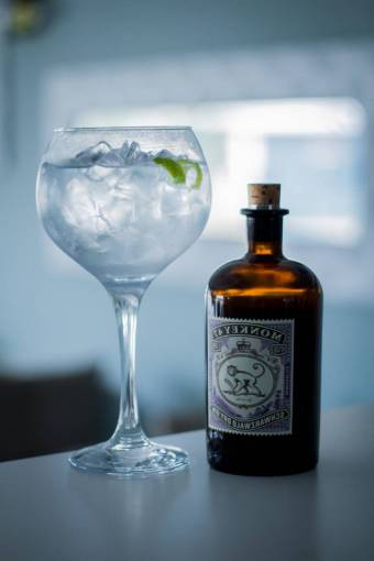 alcohol-drink Gin tonic Cocktail