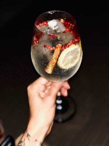 alcohol-drink Gin tonic Cocktail