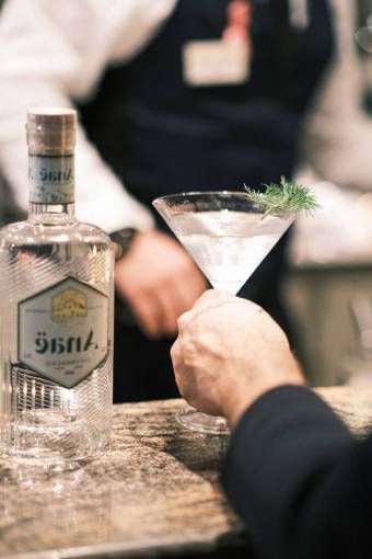 alcohol-drink Gin tonic Cocktail