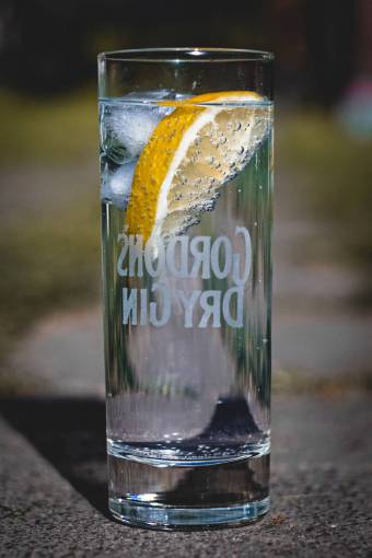 alcohol-drink Gin tonic Cocktail