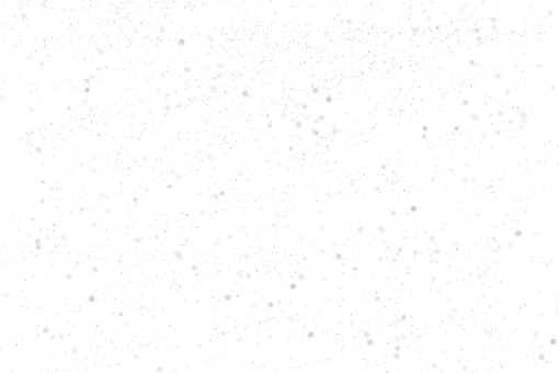 plate  Silver bokeh overlay png