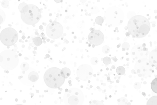 plate  Silver bokeh overlay png
