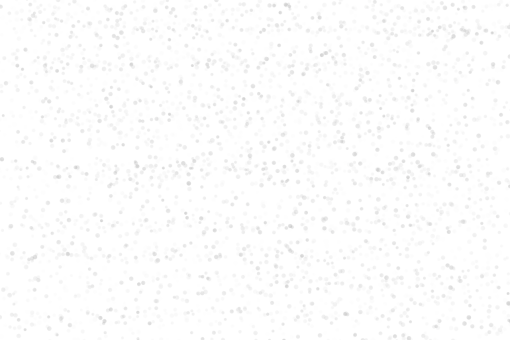 plate  Silver bokeh overlay png