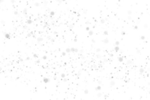 plate  Silver bokeh overlay png