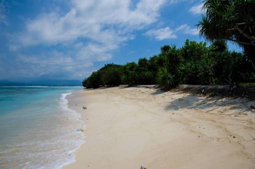 paraiso tropical playa arena agua océano mar costa olas