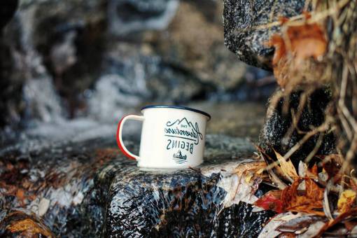 logo cup  mug  logo  rock  water  leaf  fall