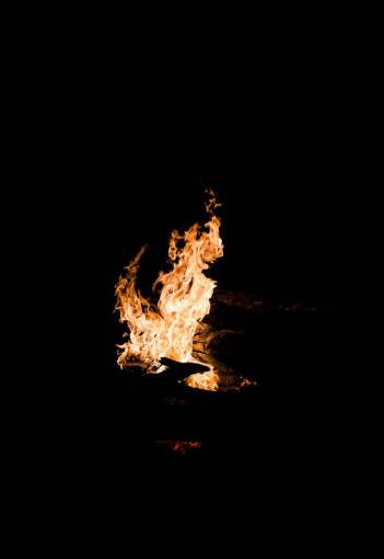 bonfire flame  fire  night  black  campfire  warm  blazing