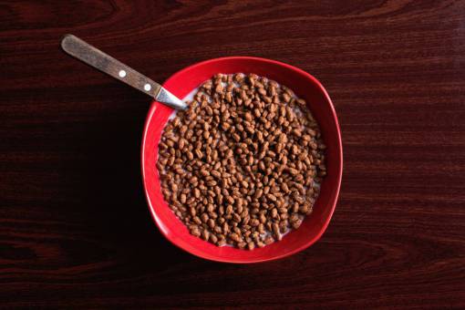 spoon-with-coffee food  breakfast  cereal  milk  spoon  red  bowl
