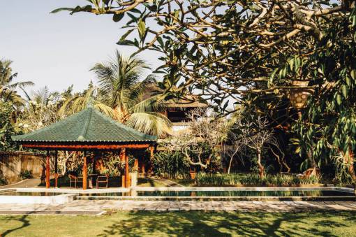 swim-in-nature nature  landscape  garden  trees  leaves  green  grass