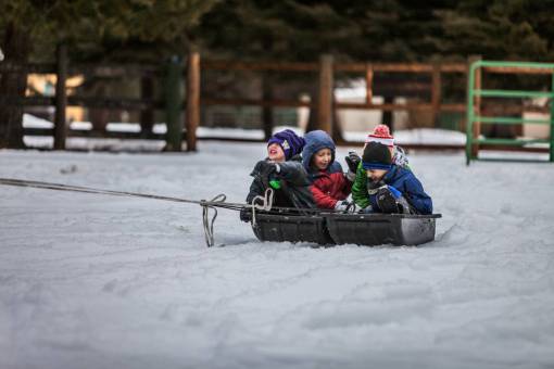 people  kids  children  boys  playing  snow  winter