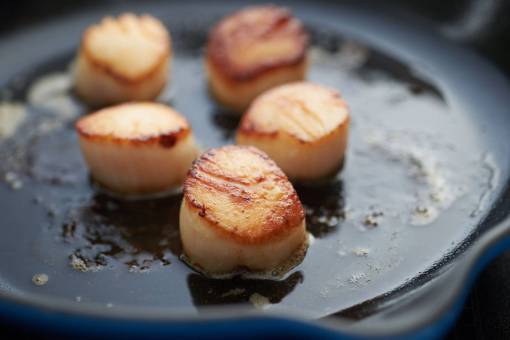 seafood scallops  seafood  cooking  fresh  hot  pan fried  crust