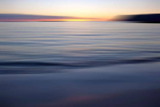 ave oceanica mar puesta de sol cielo océano agua nubes pacífico