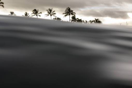 windmill windmill  coconut  tree  plant  clouds  sky  water