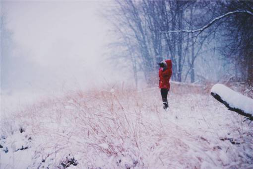 invierno, nieve, frío, ventisca, chaqueta, capucha, guantes