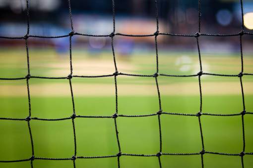 Goal net