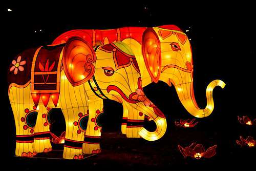 spectacular animals elephant fantasy glass stained spectacular sculpture celebration
