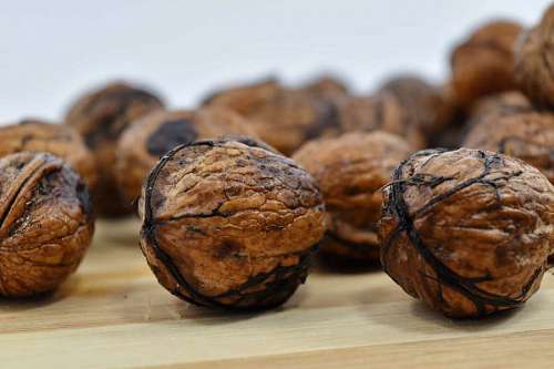 walnut-tree brown fruit focus walnut diet delicious button kb