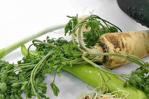 aromatic-coffee cucumber chili groceries ascorbic acid antioxidant vitamin parsley vitamins lunch root vegetable  aromatic