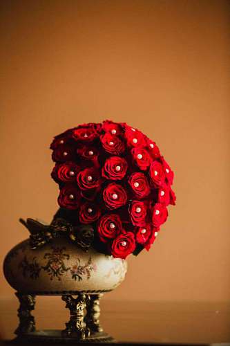 decoration still flower leaf rose 