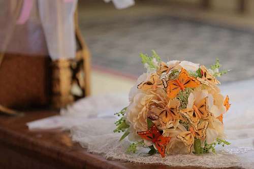 flower bouquet butterfly decoration still colorful handmade colors 