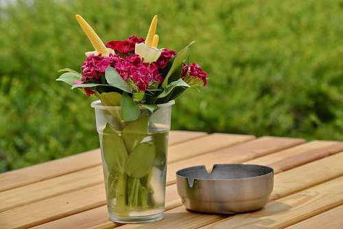 ash flowers desk bouquet flower vase nature ashtray carnation leaf