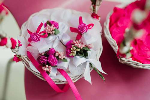 roses  Valentine’s day  decoration 