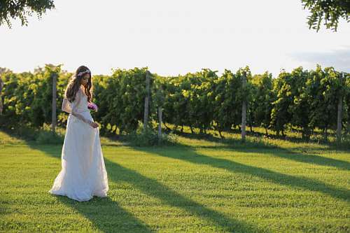 vineyard vineyard bouquet bride grass nature tree woman