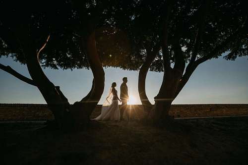 newlywed walking dawn sunset groom sunspot newlyweds bride backlight silhouette tree 