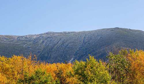 autumn  foliage  landscape  mountain  trees  forest  nature