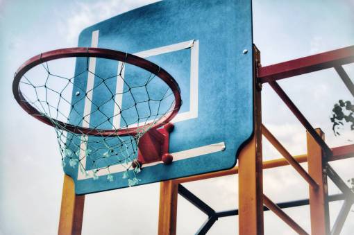 basketball-player basketball  ring  sport  sports  ball  sky  plant