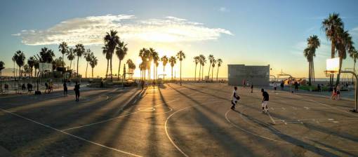 basketball-player basketball  sport  game  people  men  playing  trees