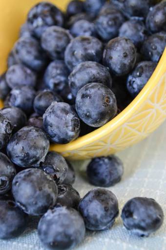 fuente arándanos frutas tazón de comida saludable