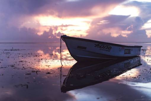 boat  ocean  sea  nature  view  sail  sunlight