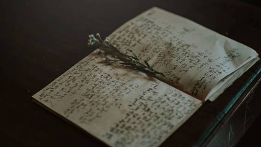 escritura libro, flores asiáticas, marcador, cuaderno, nota, página
