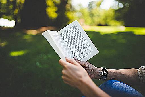novela libro novela lectura manos al aire libre parque naturaleza