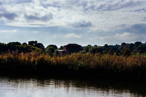 arbusto canal río agua arbustos árboles casa de campo