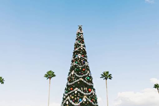 árbol de navidad bola decoración ornamento temporada de vacaciones