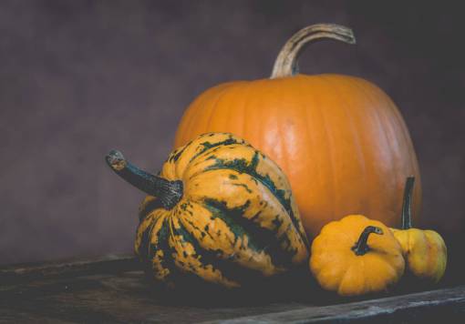 colorido halloween calabaza de halloween naranja color naranja temporada de calabaza