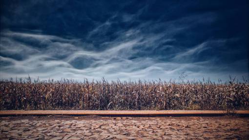 farmland dramatic  sky  autumn  fall  nature  agriculture  farmland