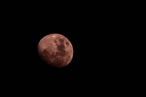 creepy-zombie full  moon  dark  night  creepy  round
