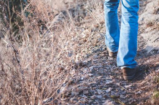 plantas de hierba planta de hierba caminata al aire libre caminata montañismo