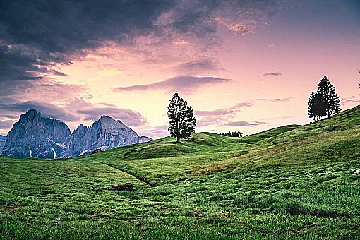 hierba verde montaña highland árbol planta al aire libre