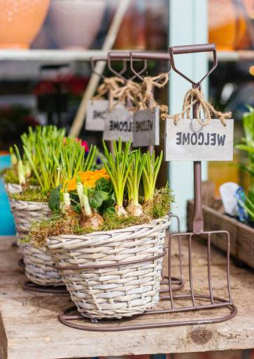 etiqueta etiqueta de maceta de cesta de agricultura de jardín de planta verde