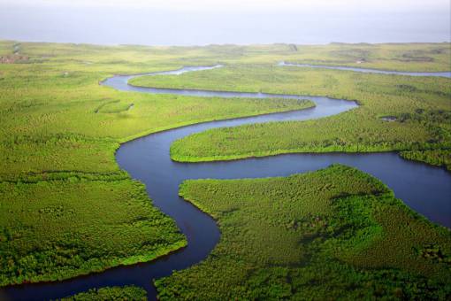 geography-colombia green  trees  plants  river  water  aerial  view