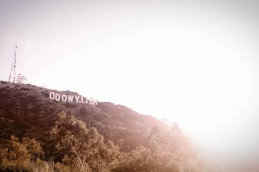 looking hollywood  california  usa  united states  sign  trees  hills