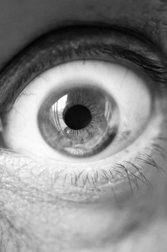 eyelash human  man  person  anatomy  face  eye  eyelashes