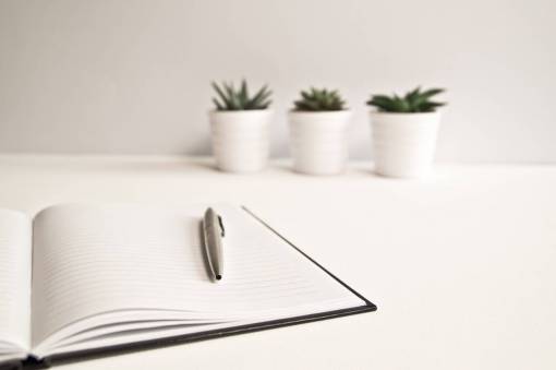 mínimo escritorio escritor bolígrafo notpead cuaderno planta de maceta