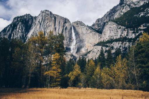 mountain  landscape  peak  trees  pines  view  aesthetic
